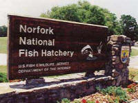 Norfork National Fish Hatchery